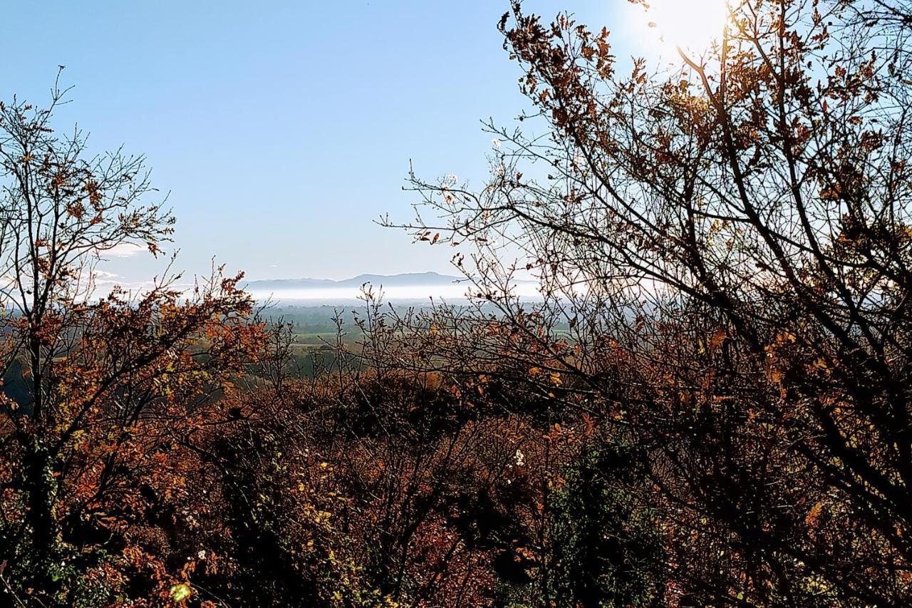 Agriturismo Tenuta Monte La Guardia Castel Giuliano Εξωτερικό φωτογραφία