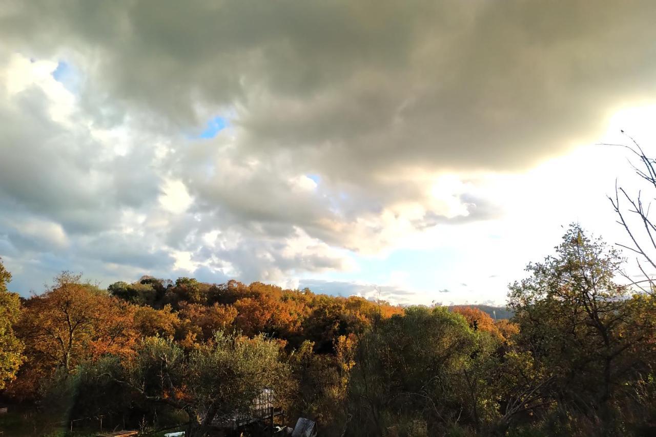 Agriturismo Tenuta Monte La Guardia Castel Giuliano Εξωτερικό φωτογραφία