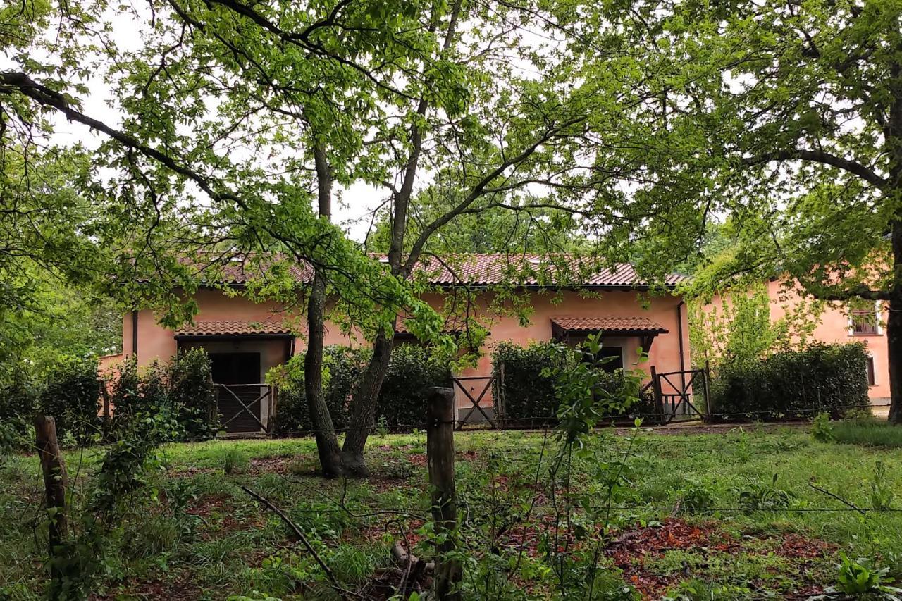 Agriturismo Tenuta Monte La Guardia Castel Giuliano Εξωτερικό φωτογραφία